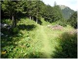 Podbrdo - Planina Za Črno goro